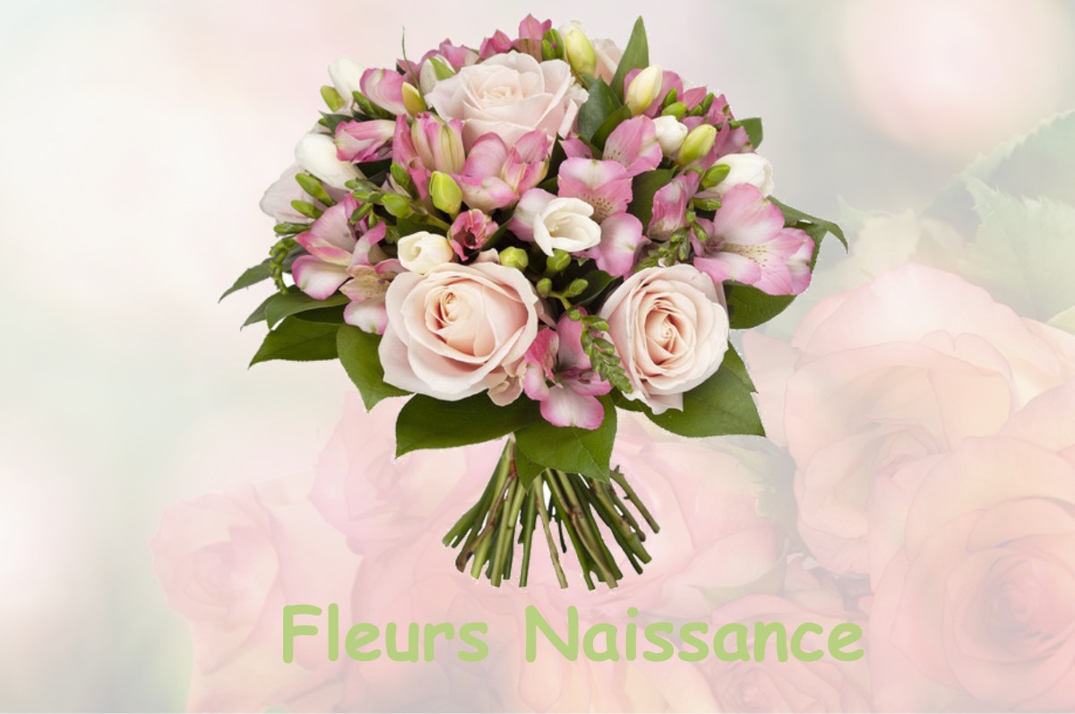 fleurs naissance SAINT-HILAIRE-PEYROUX